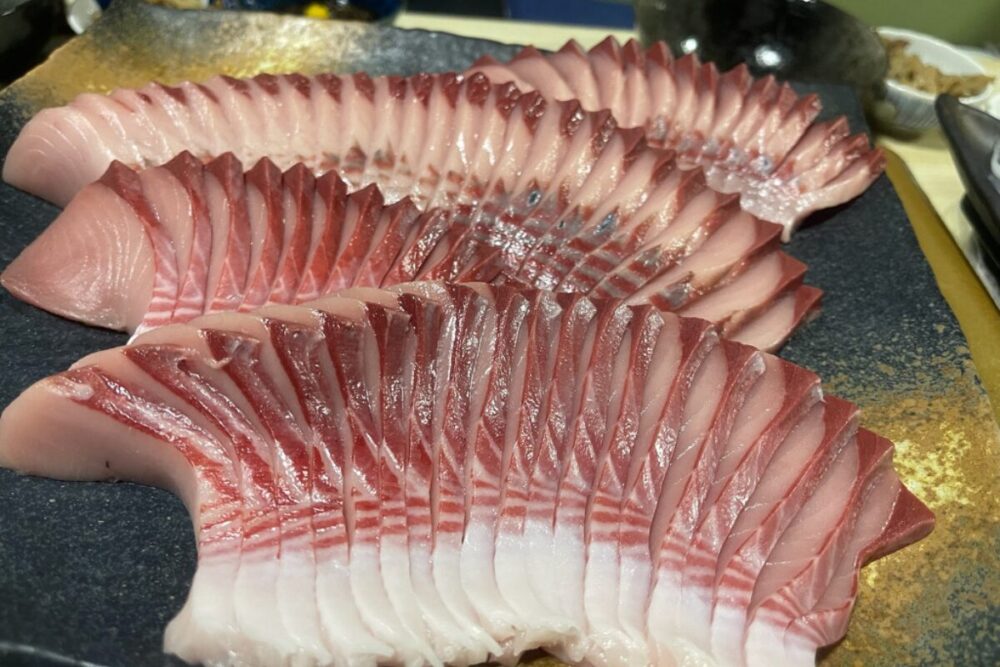 ハガツオの刺身
