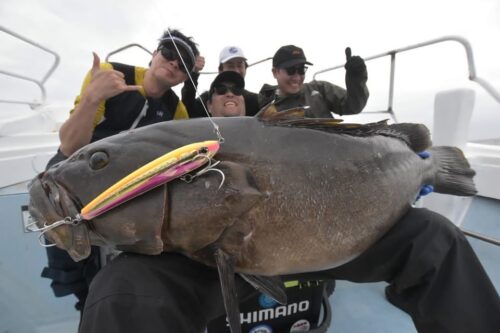 キャストで釣れたクエ