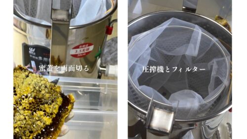 蜜蓋を両面からカットし、フィルター付きの圧搾機にセットする様子